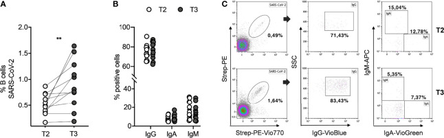 Figure 2