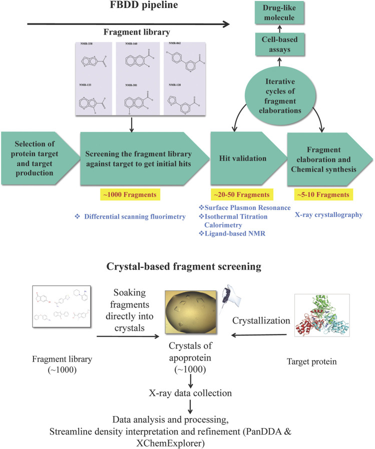 Using Structure Guided Fragment Based Drug Discovery To Target Pseudomonas Aeruginosa Infections