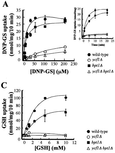 FIG. 4.