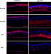 Figure 11.