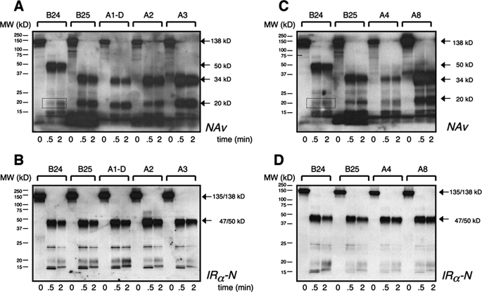 FIGURE 5.