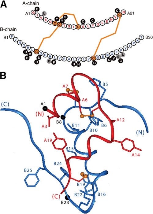 FIGURE 9.