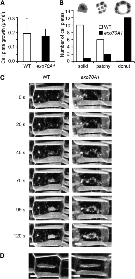 Figure 9.