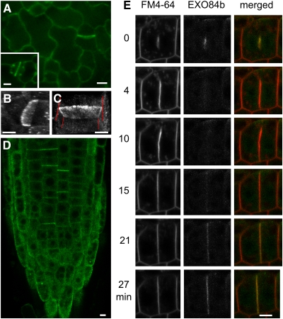 Figure 6.