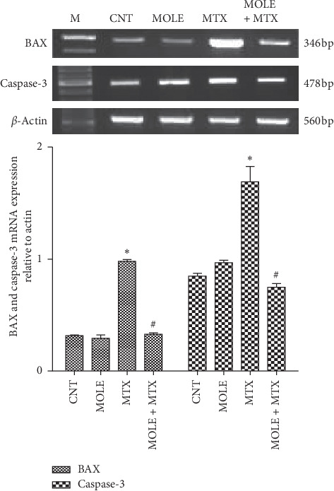 Figure 6