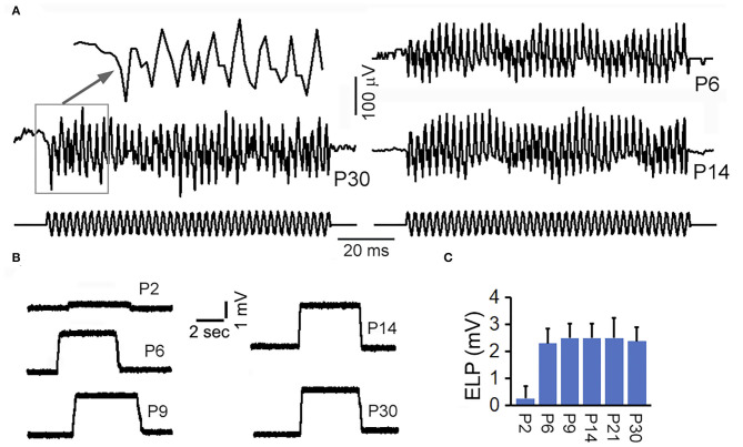 Figure 5