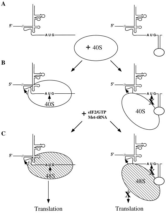 FIG. 9