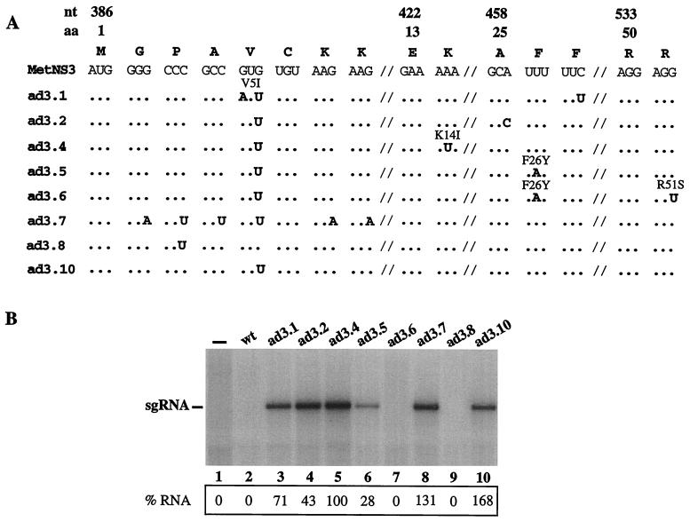 FIG. 6