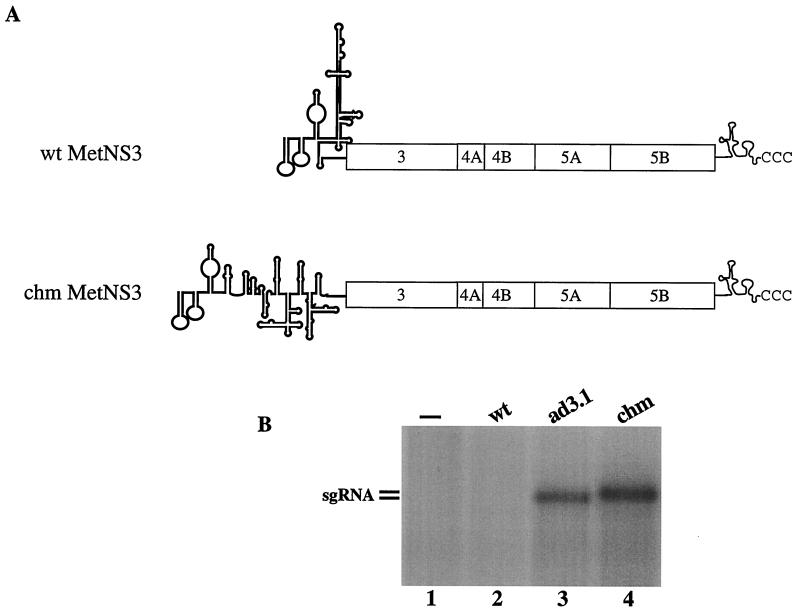 FIG. 5