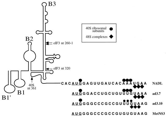 FIG. 8