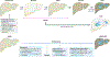 Fig. 2 |