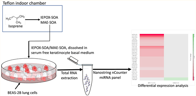 graphic file with name nihms-1068272-f0002.jpg