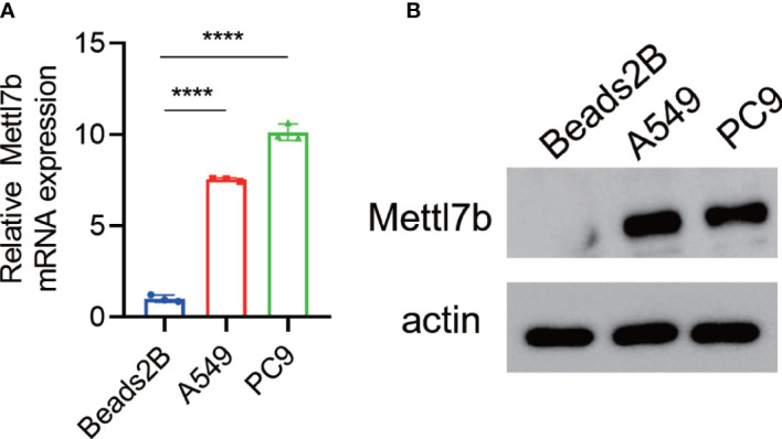 Figure 7