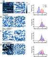 Figure 13.