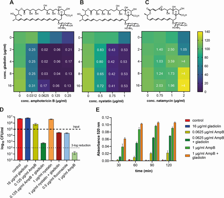 Combined effect of gladiolin with the antifungal agents amphotericin B, nystatin, and natamycin. Reduction in fungal CFUs were measured and time-dependent absorbance changes at 520 nanometers indicate different efflux rates.