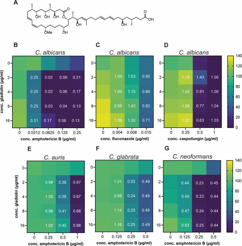 Chemical structure of gladiolin and heatmaps depicting its combined effects with various antifungal agents on the fungal species Candida albicans, Candida auris, Candida glabrata, and Cryptococcus neoformans.