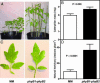 Fig. 4.