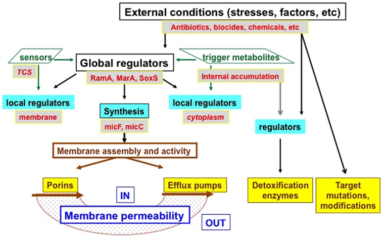 FIGURE 3