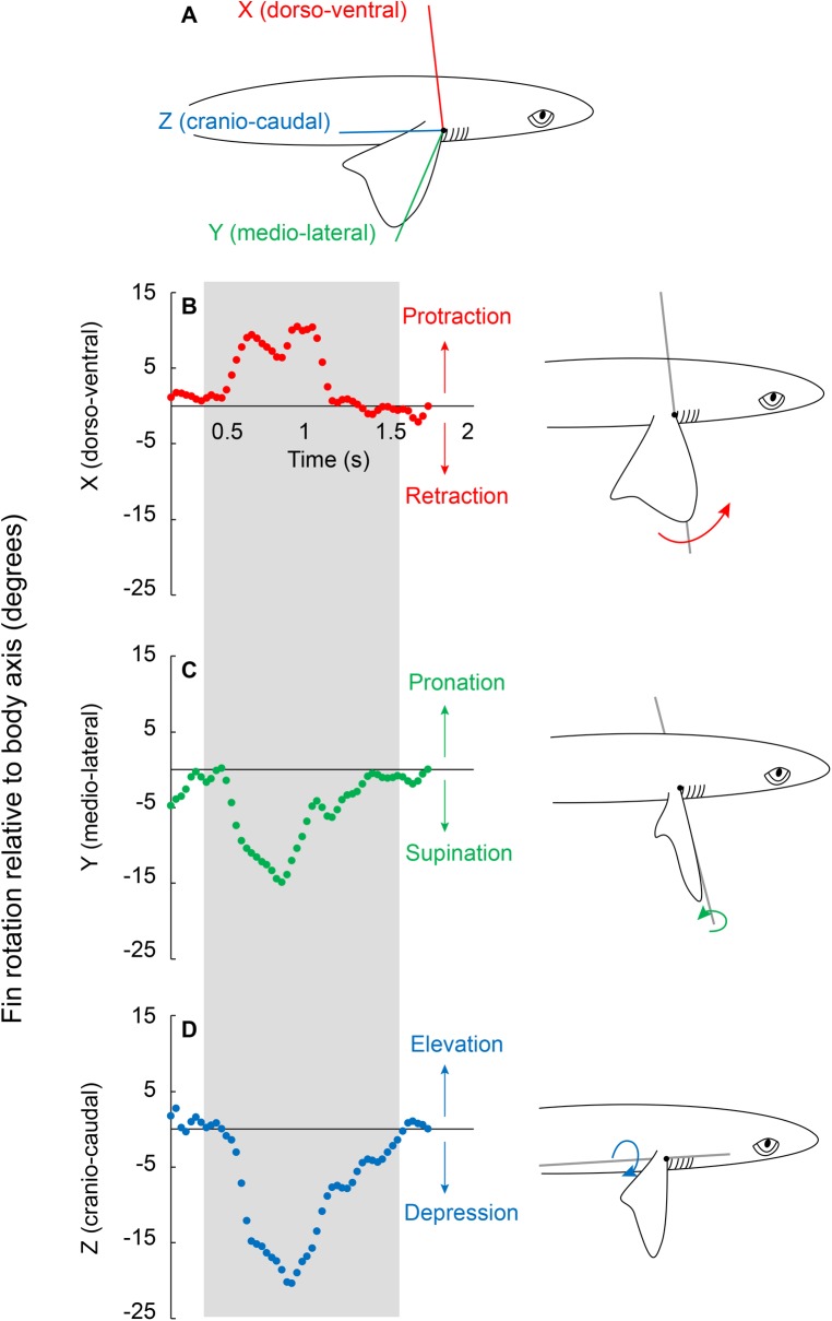 Fig. 1.