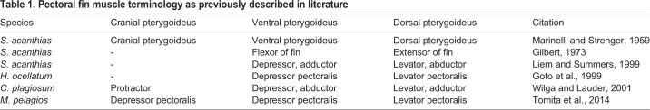 graphic file with name biolopen-8-037291-i1.jpg