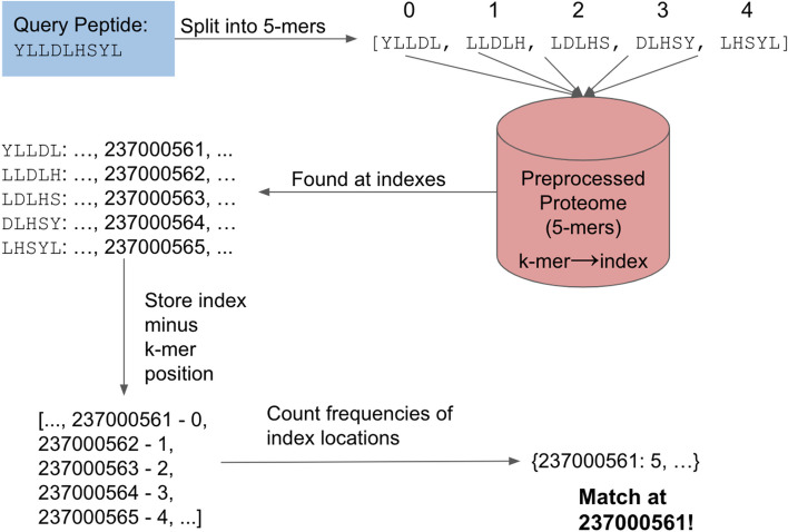 Fig. 1