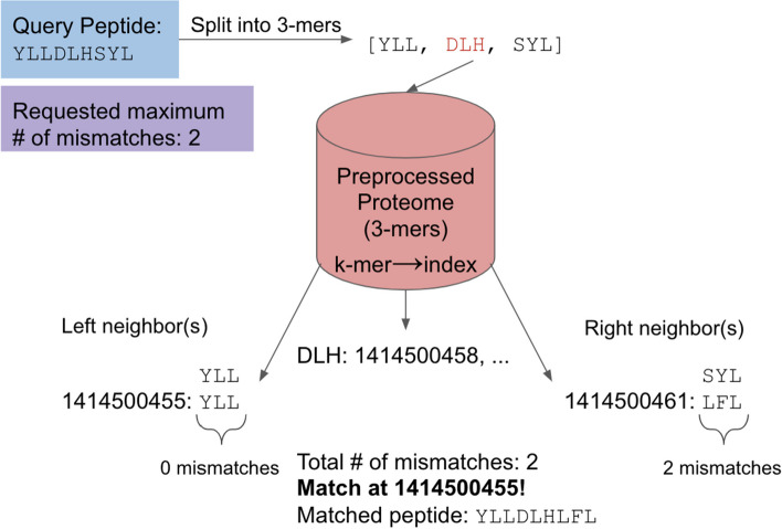 Fig. 2