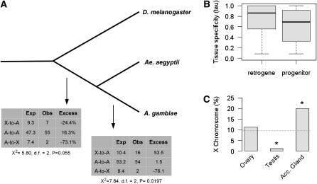 Figure 1—