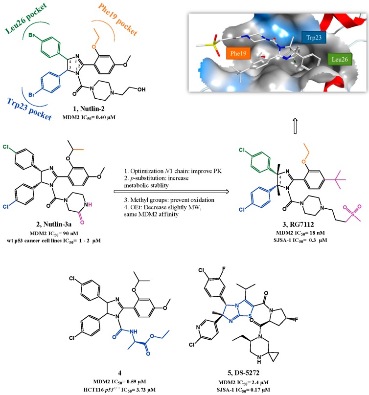 Figure 2