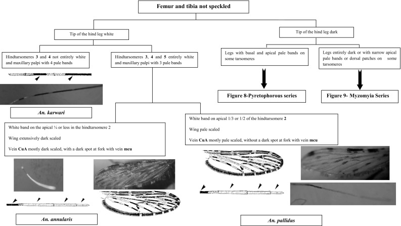 Fig. 6