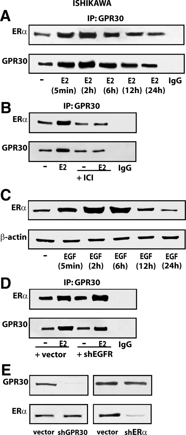 Fig. 10.