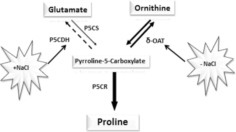 Fig. 10