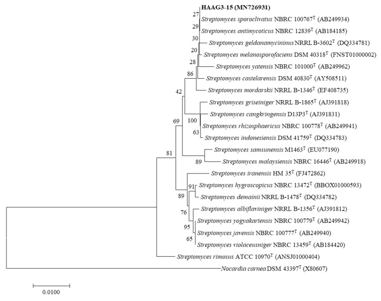 Figure 7