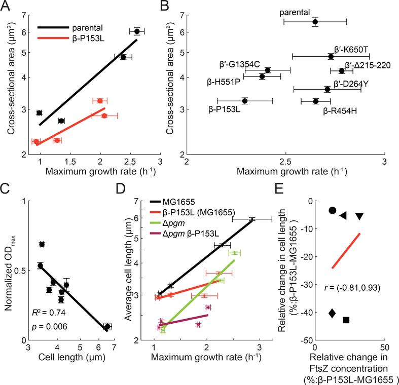 Figure 7: