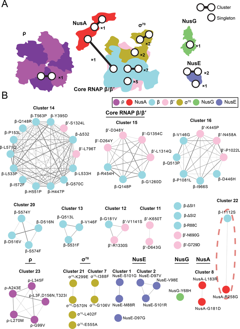 Figure 2: