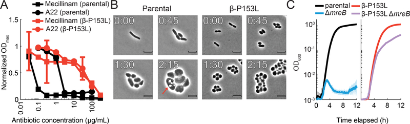 Figure 6: