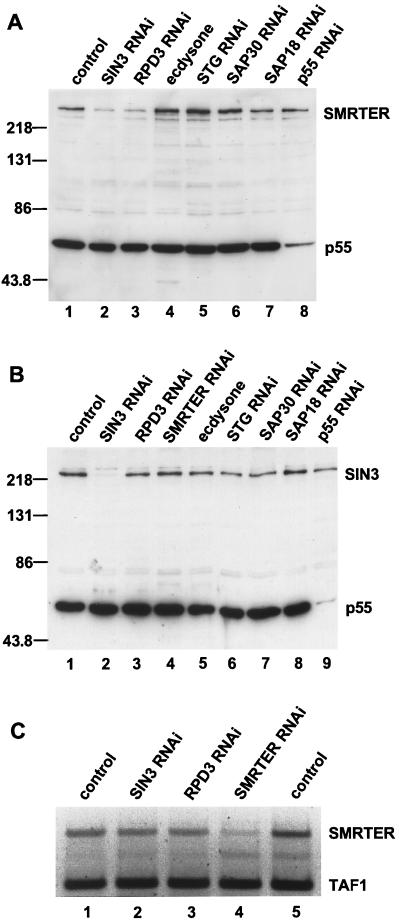 FIG. 8.