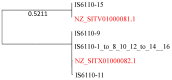 Figure 9