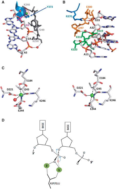 Figure 4.