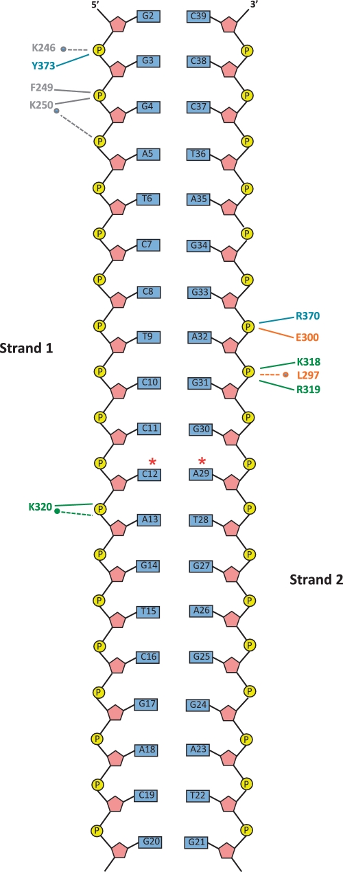 Figure 3.