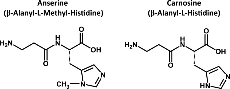 Fig.2