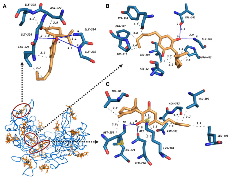 Figure 10