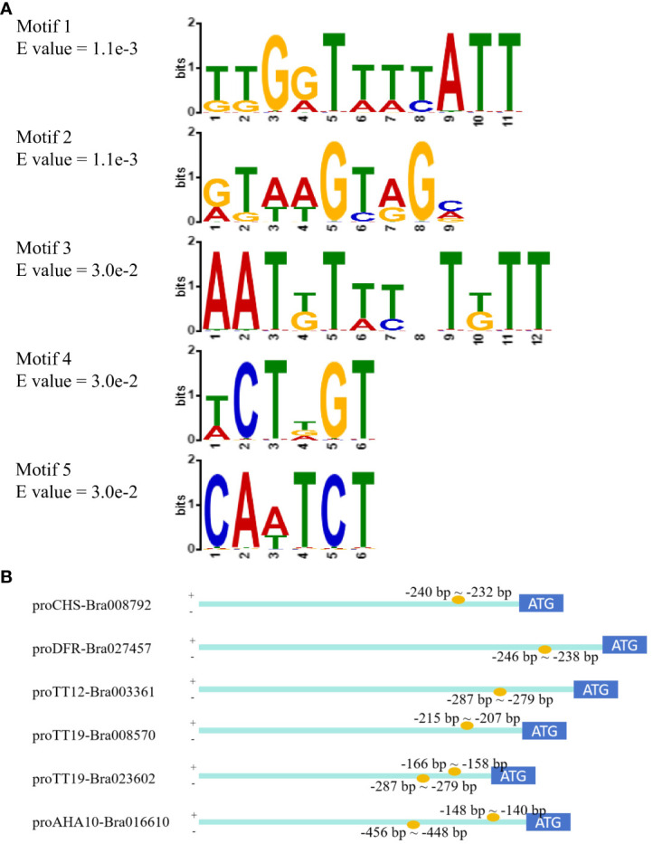 Figure 5