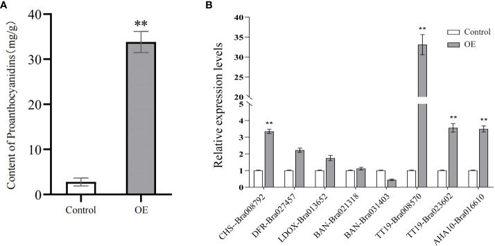 Figure 6