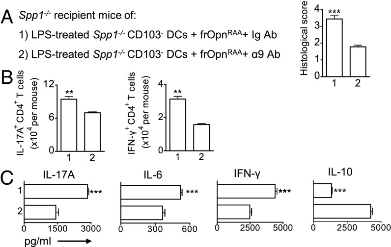 Fig. 9.