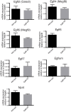 Figure 5—figure supplement 2.
