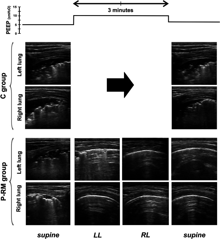 Fig. 4