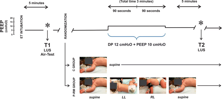 Fig. 1