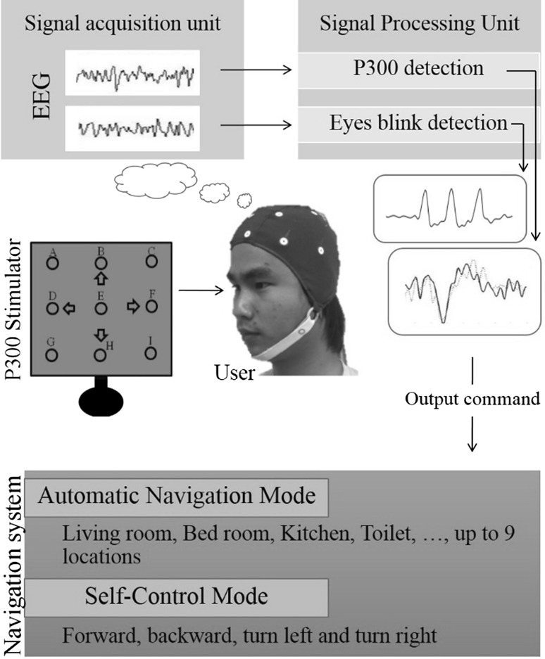 Fig. 2