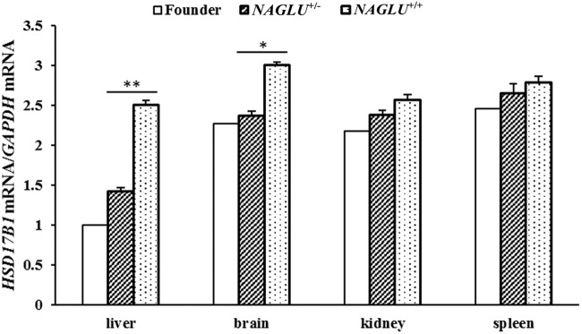 Fig. 7.