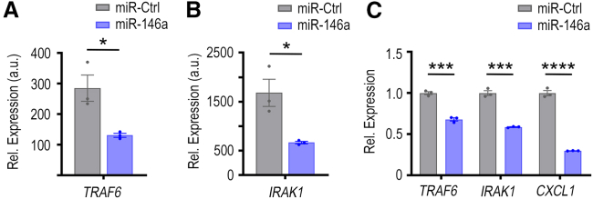 Figure 6